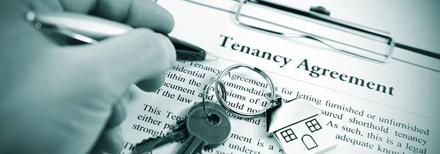 Find Your Perfect Home