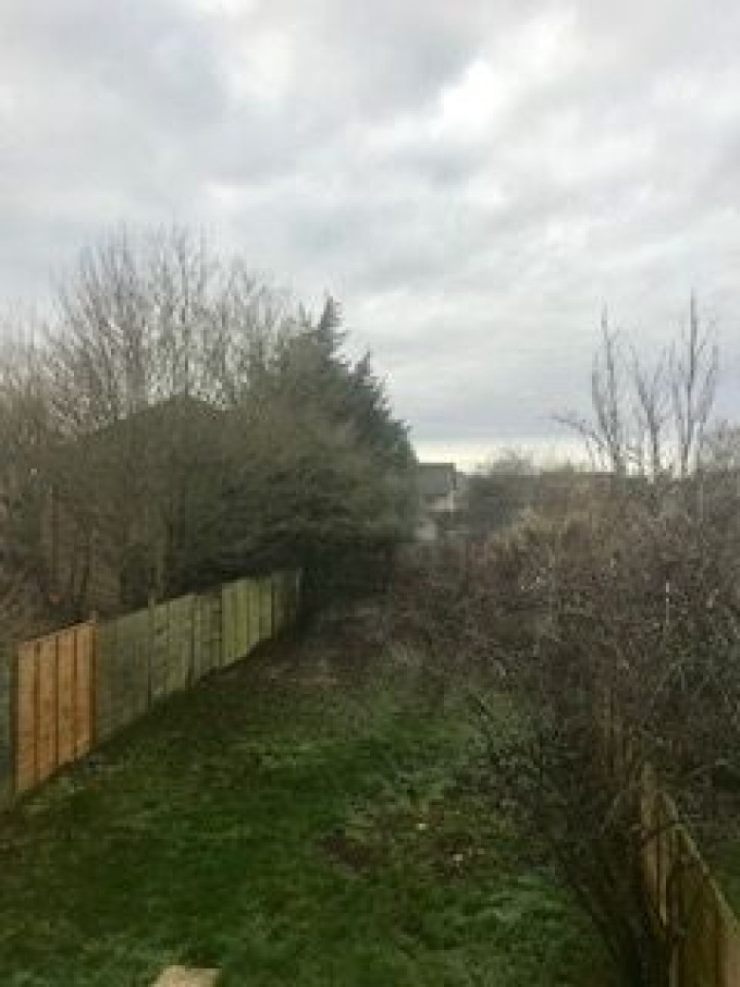 Stafford Grove